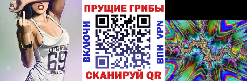 Галлюциногенные грибы Psilocybine cubensis Вятские Поляны